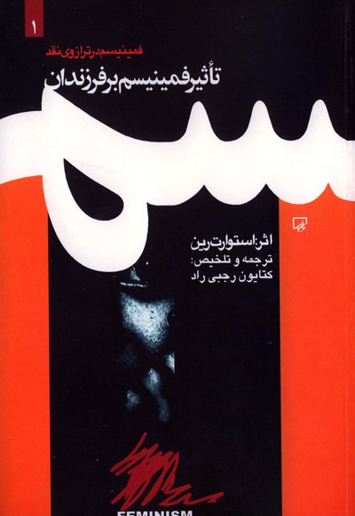 تاثیر فمینیسم بر فرزندان